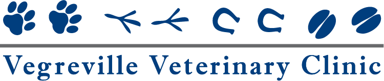 Vegreville Veterinary Clinic